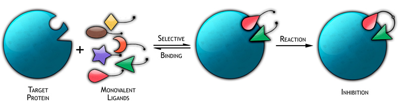 Target-Guided Synthesis