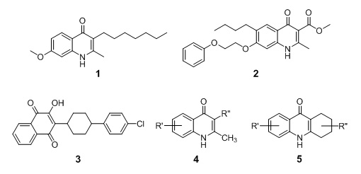 Anti-Malarial Lead Compounds